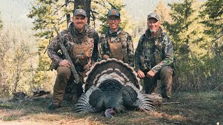 A Perfect Turkey Hunt at John's Secret Spot! | 2023 Phelps Turkey Camp (Part 3/3)