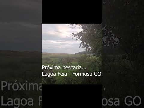 Nossa próxima aventura: Lagoa Feia, Formosa, Goiás. #peixenalinhadea #shorts