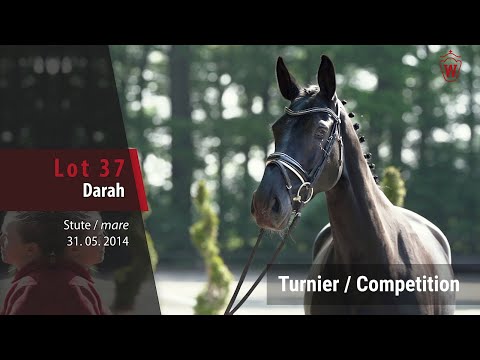 37 Darah v. Dibadu L - Cornet Obolensky_Turniervideo