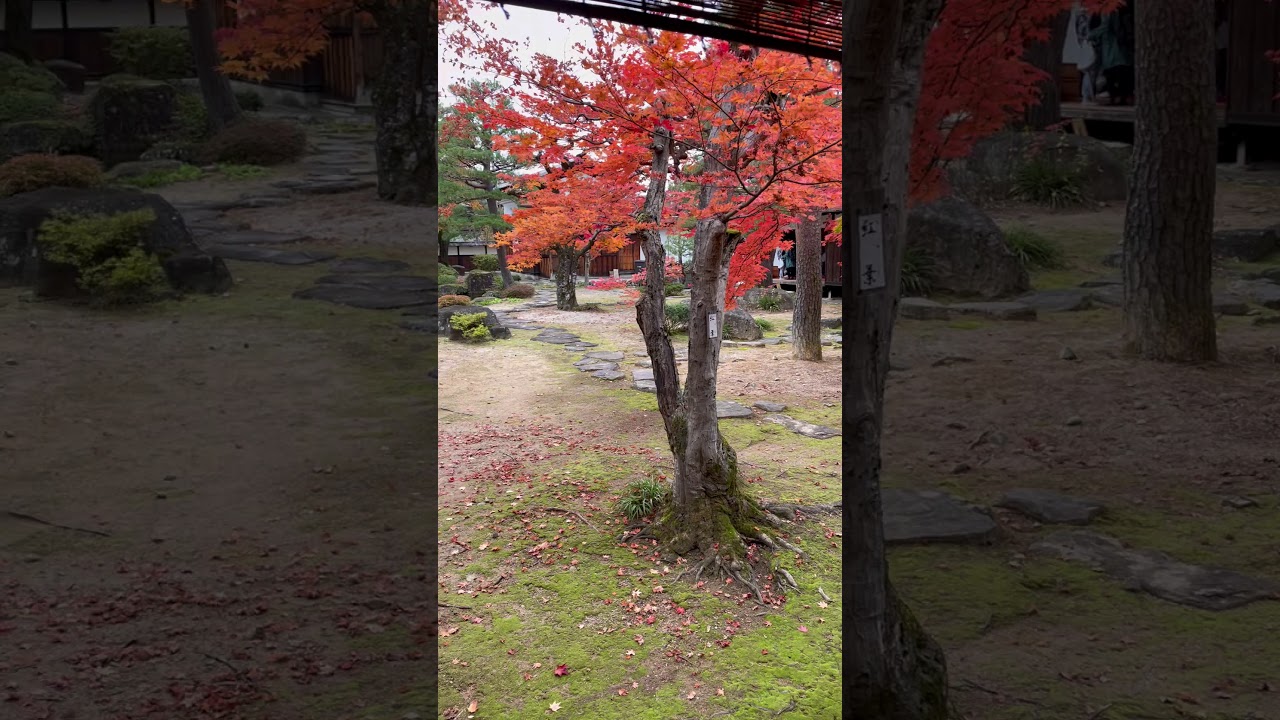 YouTube Short thumbnail