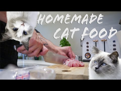 How we make RAW food for our kittens| Easy recipe | Ragdolls Pixie and Bluebell