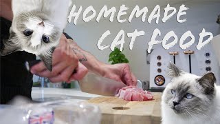 How we make RAW food for our kittens| Easy recipe | Ragdolls Pixie and Bluebell