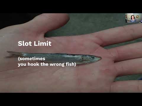 LISA21 - Year One: Transitioning From Application Engineer to Infrasec Engineer