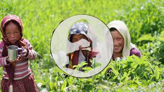 The Human Experience - I Like You ft. Saint Sinner