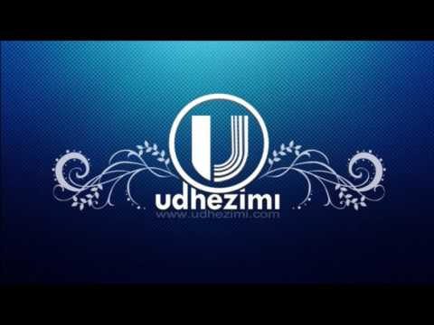 33) Bazat e imanit-Tema e 8: Nxitja e Profetit për kapjen pas Sunetit dhe për lënien e bidateve-P6