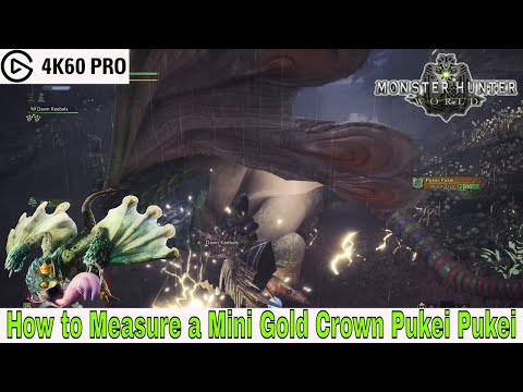Monster Hunter: World - How to Measure a Mini Gold Crown Pukei Pukei Video
