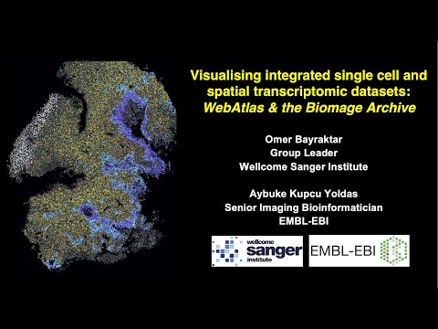 Visualising integrated single cell and spatial transcriptomic datasets