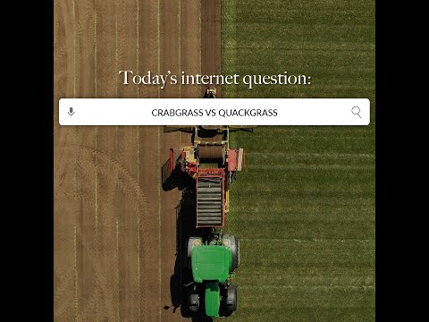 Crabgrass vs Quackgrass During Early Spring in Iowa