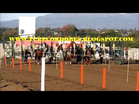 LOCO CHARLY-PISTA DON SOHAR-12/03/17