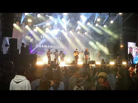 REJUNTE CHAMAMECERO  (el Maiten chubut) 7/02/2026 