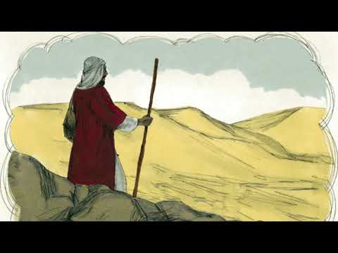 27  Die Geschichte vom barmherzigen Samariter