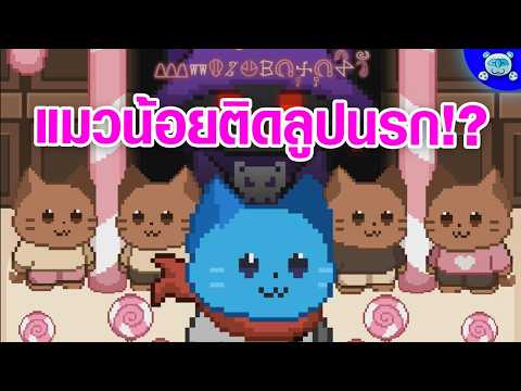 แมวน้อยติดลูปยิ่งกว่าไบรอันเดอะซวย!?