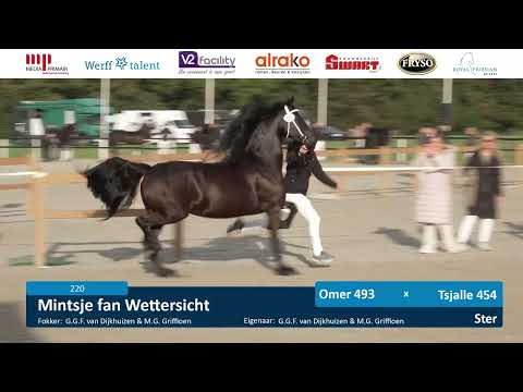 CK 2025 | 4-6 jarige Stermerries | Baan 2 | 13 September 2025