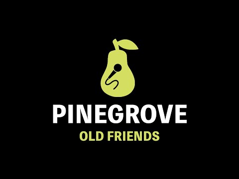 Pinegrove - Old Friends (Karaoke)