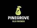 Pinegrove - Old Friends (Karaoke)