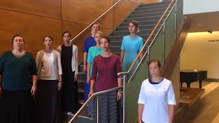 &quot;Long Time Traveler&quot;