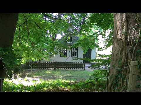 MongoTV_561 - Del 9 - Fede John På Skovtur Og Søndagsudflugt - 23.August 2015