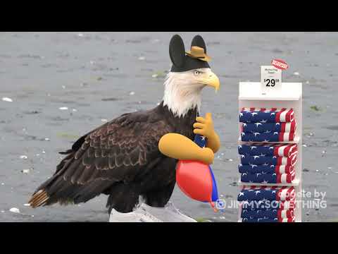 bold eagle with arms