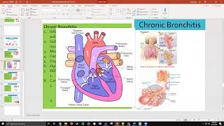 Respiratory: Chronic Bronchitis