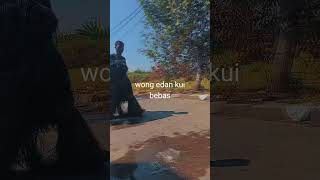 Download lagu Wong edan kui bebas🤣 #karnaval #lucu#koçluk mp3