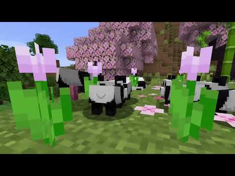 Panda Paradise Episode 1!