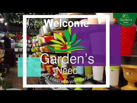 Big Four Square -6" Pot