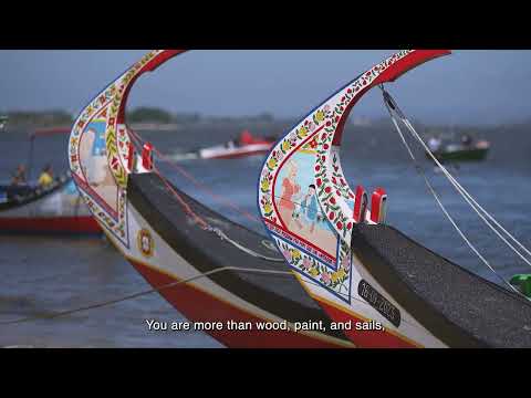 Barco Moliceiro Região de Aveiro