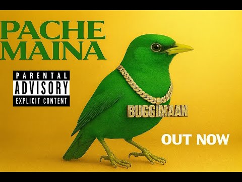 Buggiman - Pache Maina