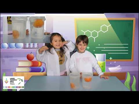 Zientziaren Astea 2023 - Urretxindorra Ikastola Haur Hezkuntza