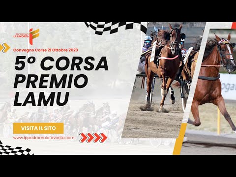 V Corsa del 21 Ottobre 2023 - 5 Anni ed oltre - Metri 2000