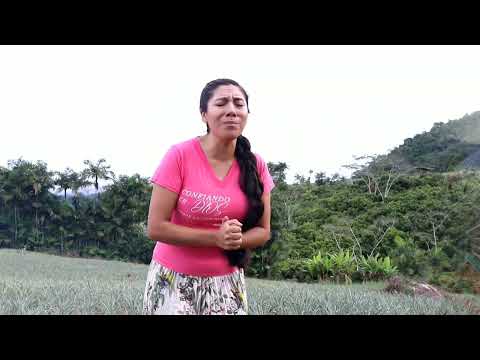 DIGNA  MEZA //  con tu manos me guiarás