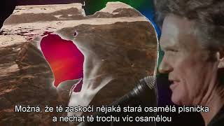 Stranger - Kris Kristofferson