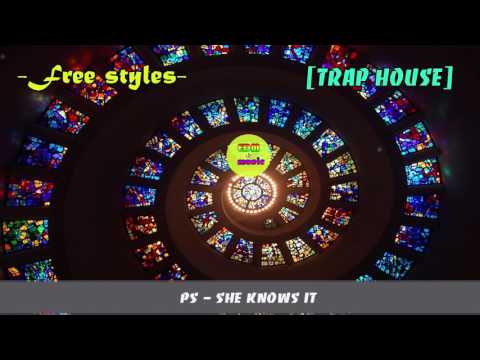 PS - She Knows It - EDM Music 2017