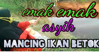 Download lagu Emak emak asyik mancing ikan betok.#emakemakmancing #emakemak mp3