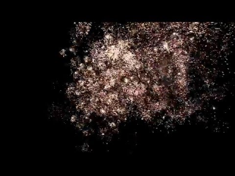 Vuurwerkshow Oud & Nieuw 2015-2016