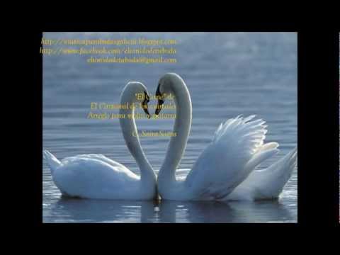 El Cisne, de El Carnaval de los Animales, Saint-Saëns