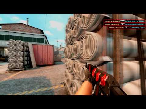 All Aces from SL i-League StarSeries Season 2 Finals.