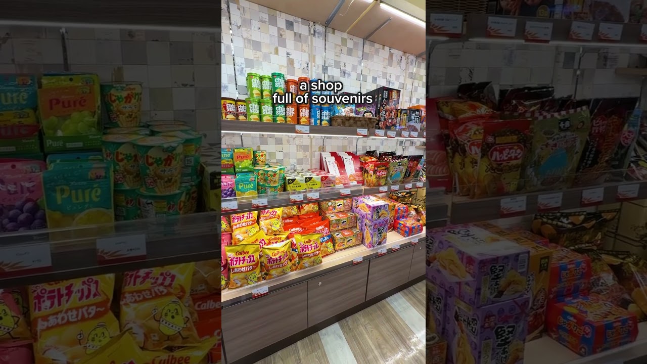 Like a Floating Hotel: From Osaka to Kagoshima on Japan’s Sunflower Ferry #shorts