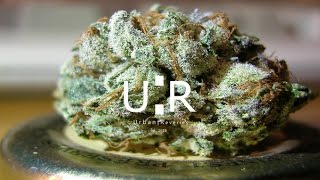 Smoke DZA - Bamma Weed feat. Flatbush ZOMBiES