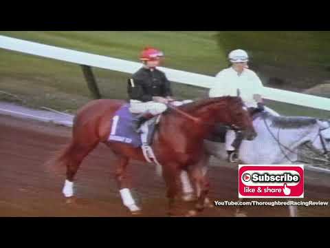 1989 Breeders Cup Classic