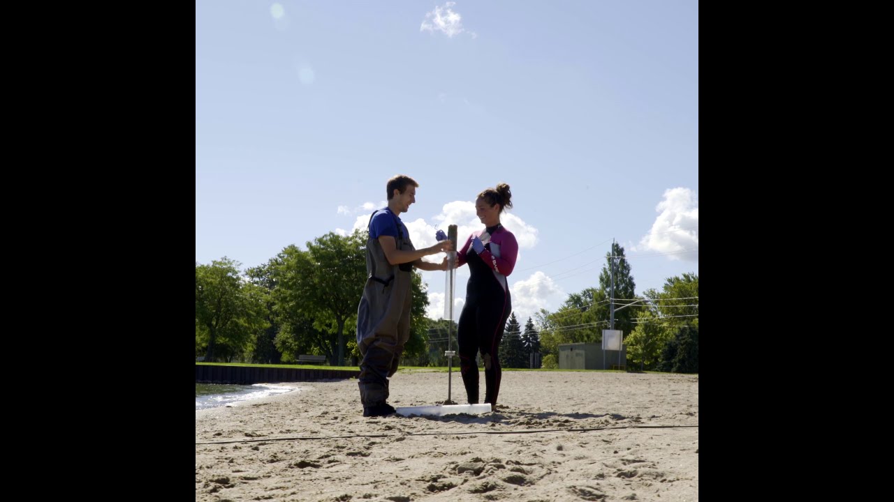 Environmental Sciences — Go for it!