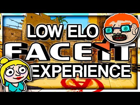 THE LOW RANK FACEIT EXPERIENCE
