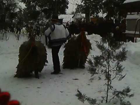 Caprele de la Broscauti