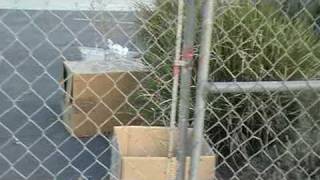 Where is Menifee Code Enforcement 
