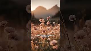 1 minuto para acalmar sua alma e começar bem a semana #shorts #respiration #reflexão