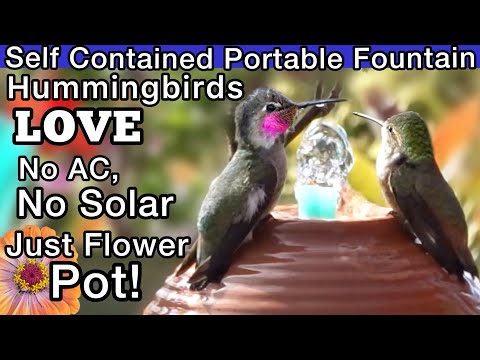 Hummingbird FOUNTAIN Upcycle Attracts Tons of Hummingbirds *NO Sun Solar AC Needed PORTABLE Birdbath