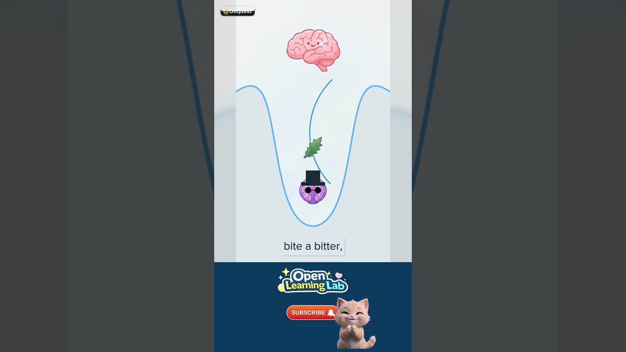 Why Do We Have Taste Buds? — How it works 🚀 #Shorts