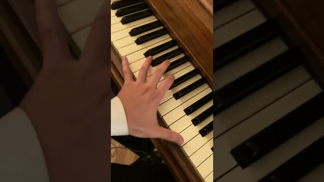 Promotional video thumbnail 5 for Piano By Steven - Top Musician for Hire