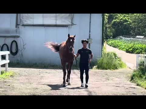 {{itemName}}_video_thumbnail