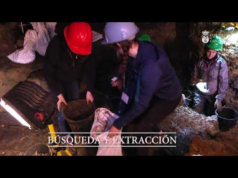 El Pendo, reflejo de la evolución humana